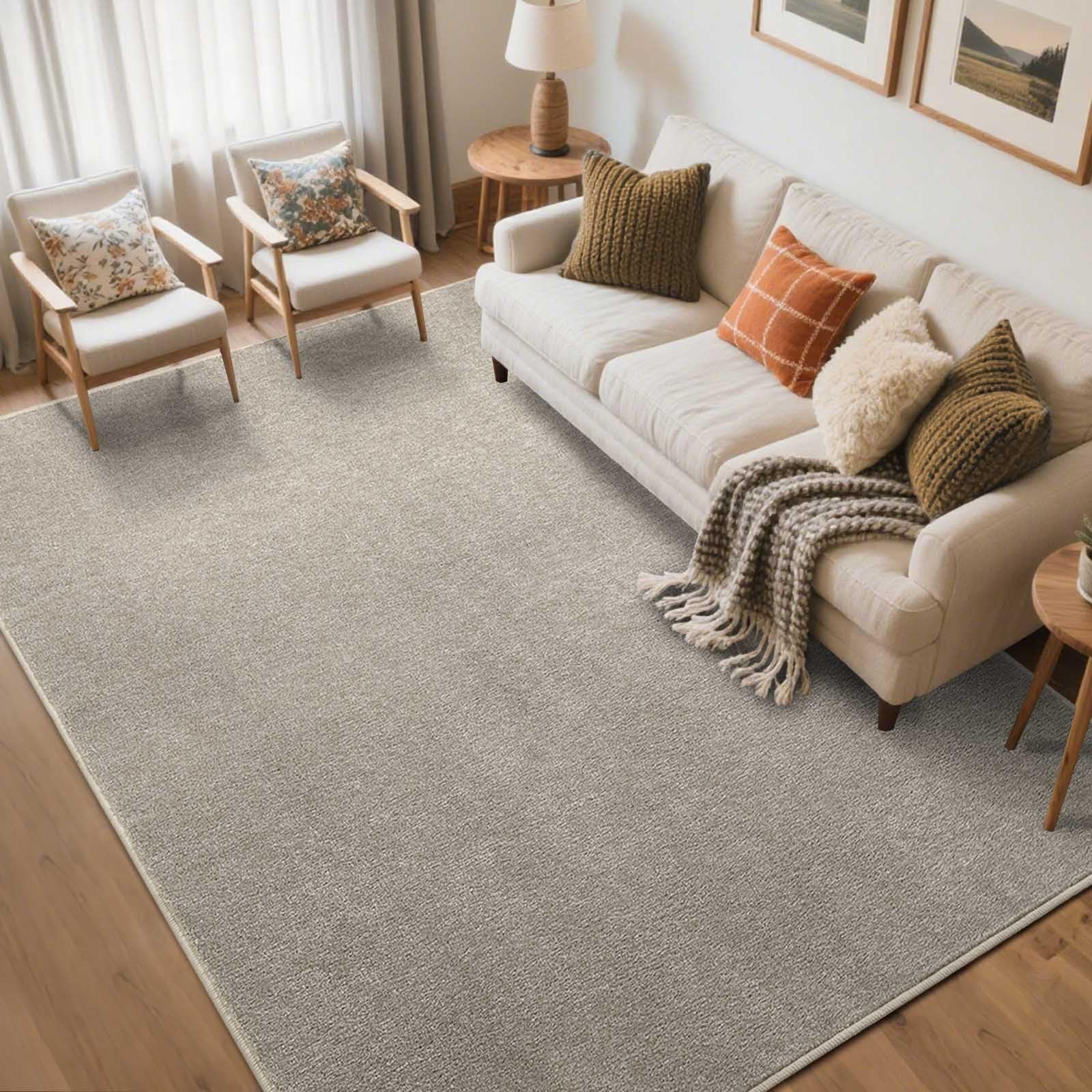 Photo 1 of FinRe?c 5x7 Washable Area Rugs for Bedroom Living Room, Low Pile Thin Rug Solid Color, Non-Slip Carpet Indoor for Home Decor (Light Tan)