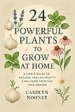 24 Powerful Plants to Grow at Home