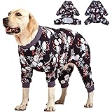 81oBHgR0dNL. AC UL160 SR160,160