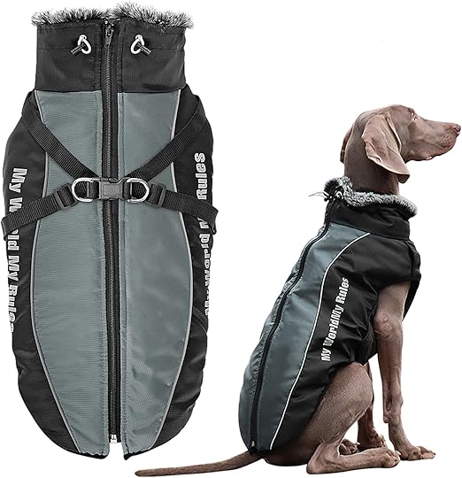 Dog winter jacket with harness Clearance