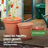 Whitefurze G04128 Garden Pot Saucer for 38cm Pot Terracotta view 5