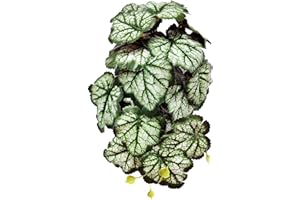 Woyrise Reptile Plants, Terrarium Hanging Plant Vines, Artificial Leaves with Suction Cup, Bearded Dragon Tank Accessories for Gecko Lizard Snake Frog Tortoise Decorations - Green Heuchera