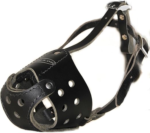 dean and tyler muzzle