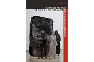 The Soul of the Stranger: Reading God and Torah from a Transgender Perspective (HBI Series on Jewish Women)