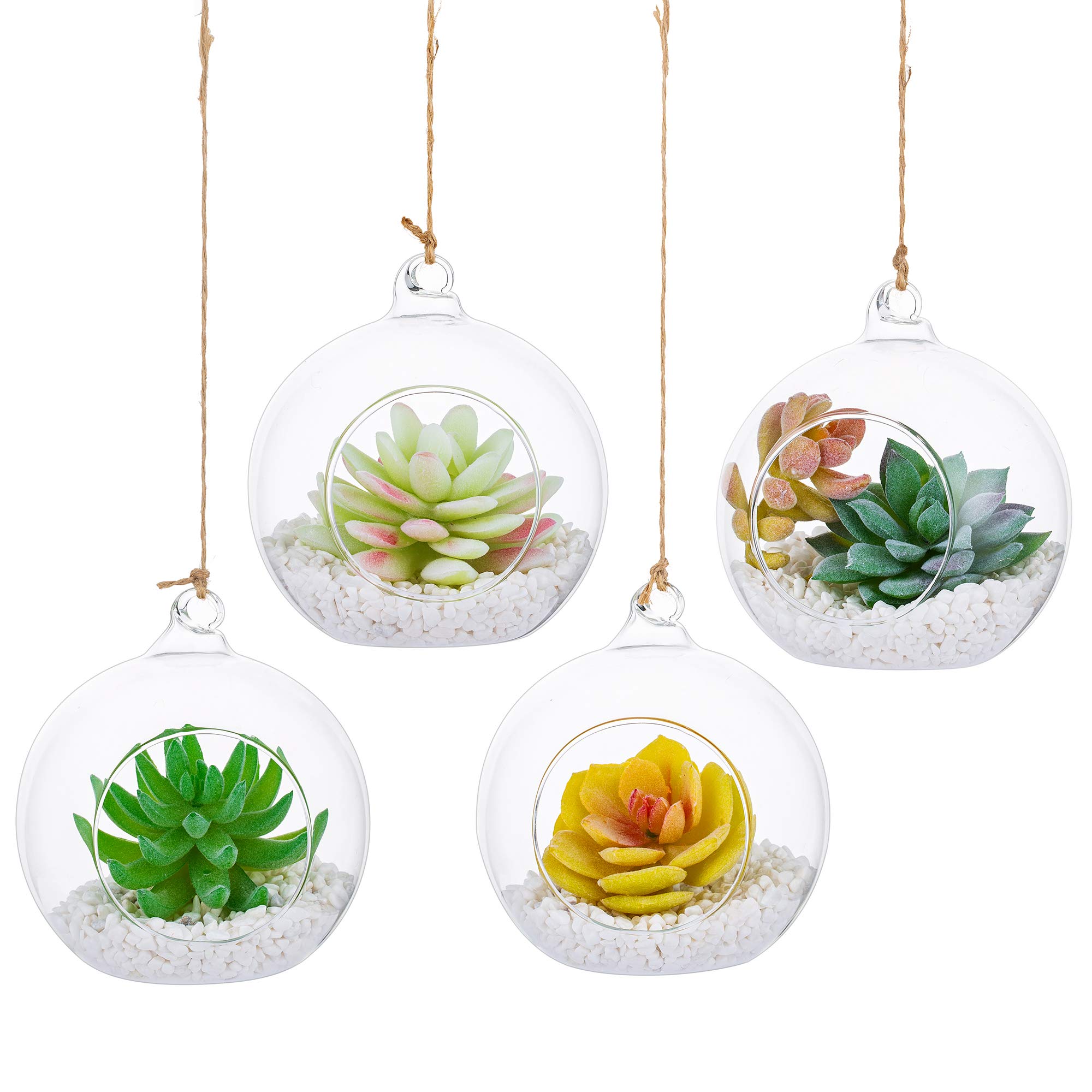 10cm Hanging Glass Globes Terrarium Orbs 4 Pcs Glass Planter Big Opening Air Fern Plants Vase Hanger for Home Party Wedding Garden DIY Design