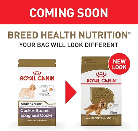 royal canin spaniel food