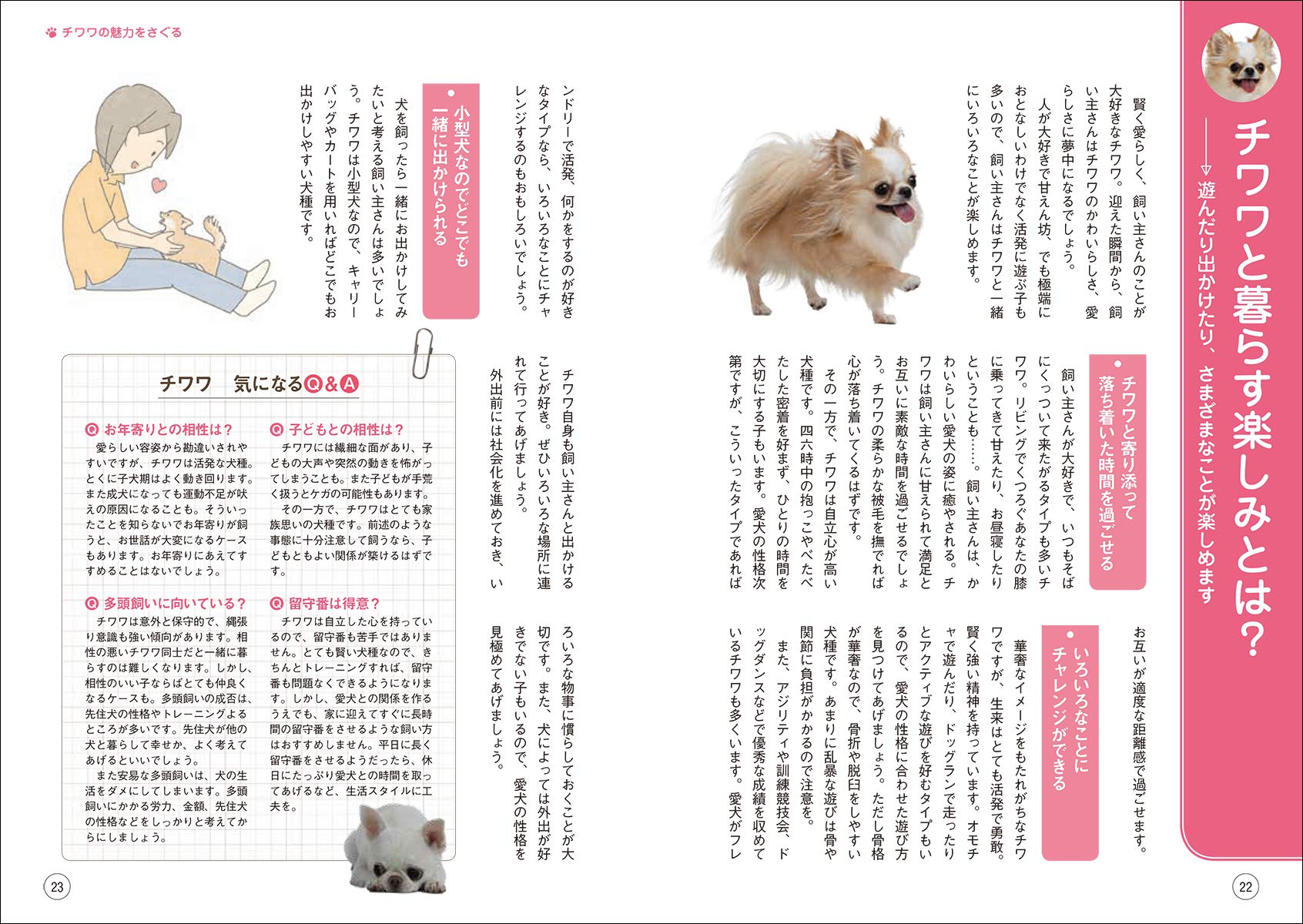 もっと楽しい チワワライフ 犬種別一緒に暮らすためのベーシックマニュアル 愛犬の友編集部 本 通販 Amazon