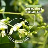 ALPHA01 Quercetin 800mg Bromelain 396 GDU BioPerine 120 Vegan Capsules view 4