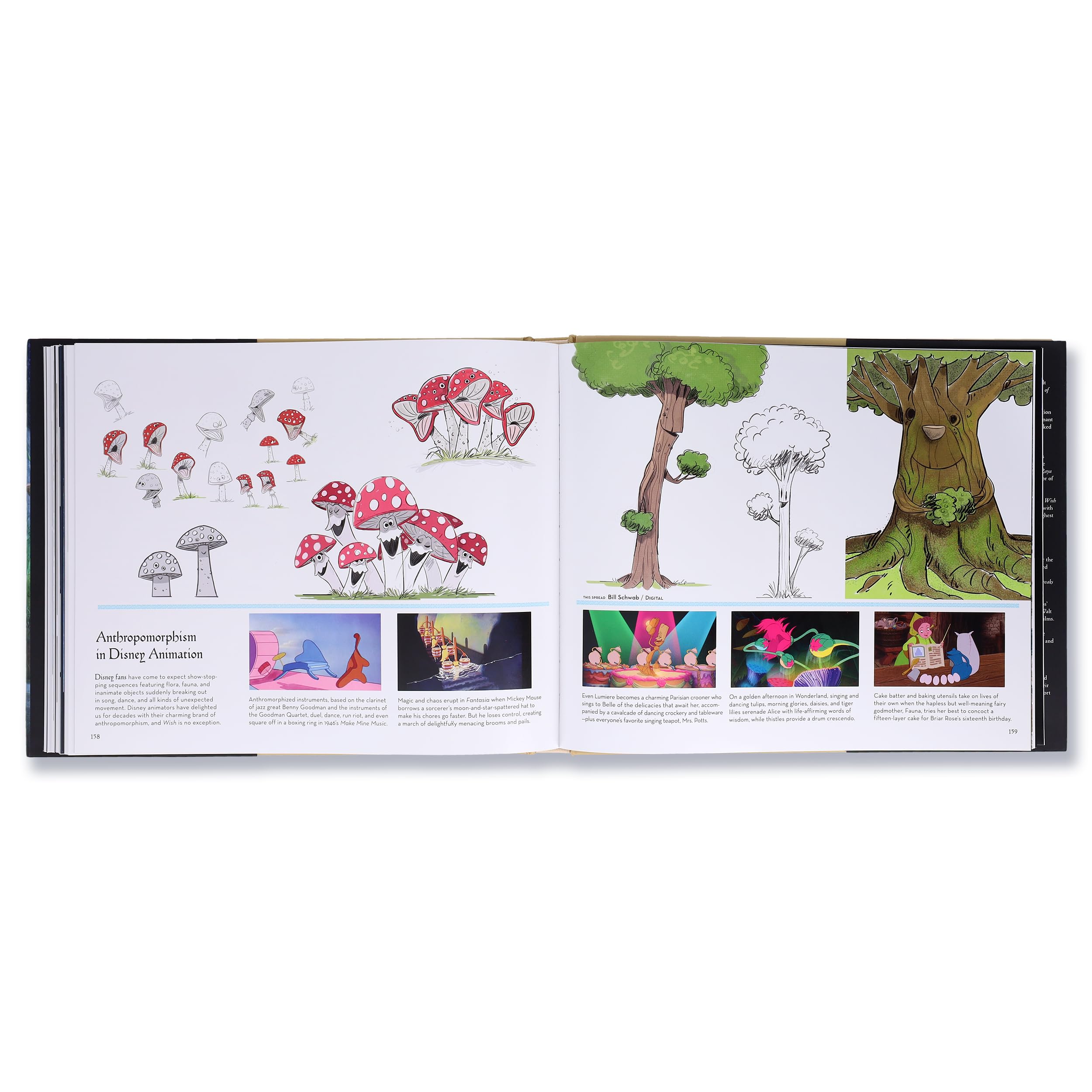 The Art of Wish (Disney)