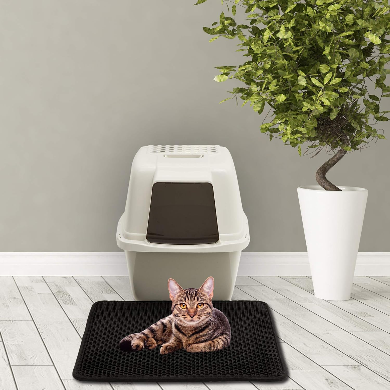Best dog pee repellent carpet