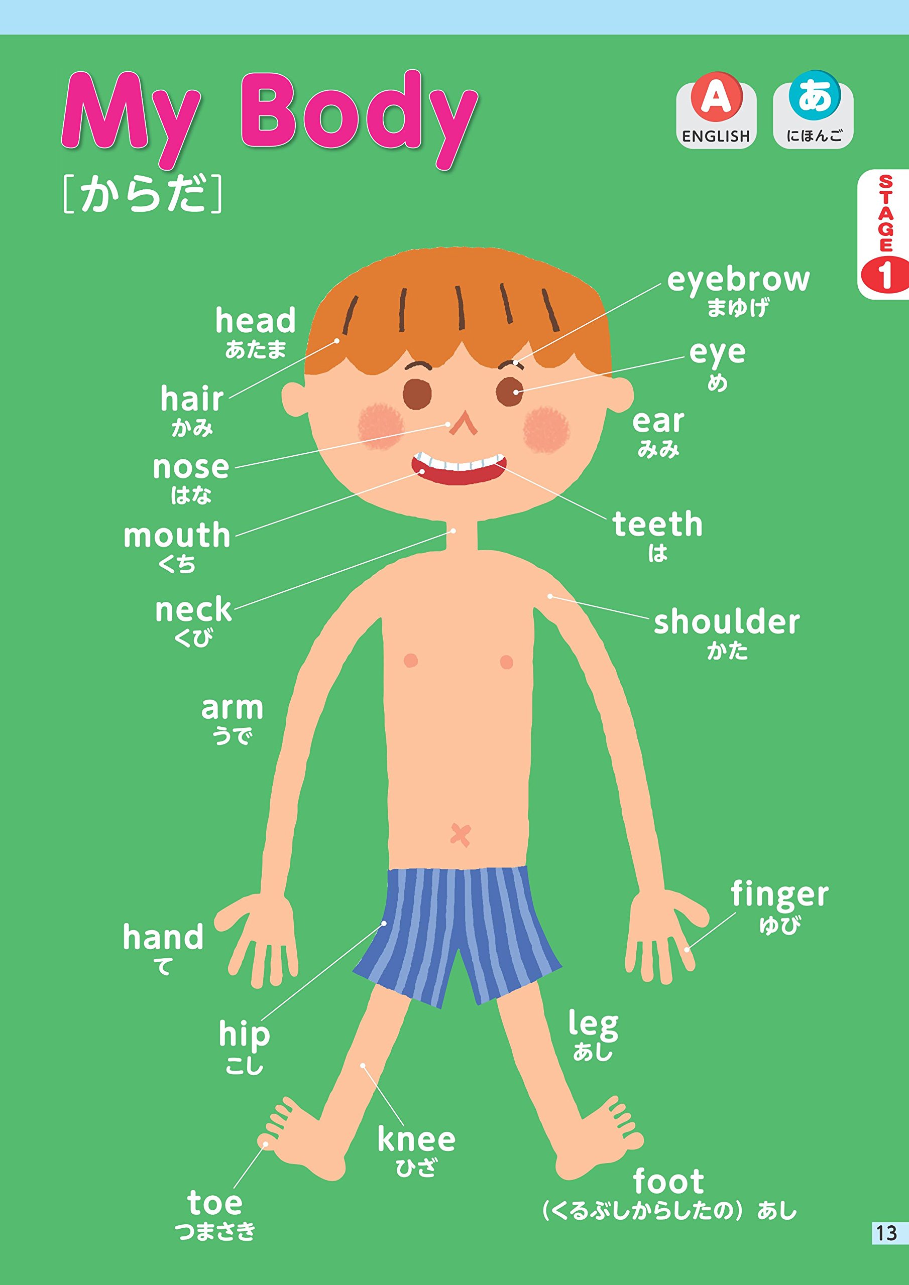 音声ペン付き ペンがおしゃべり ベビー キッズえいご絵じてん500 改訂版 教育玩具 旺文社 本 通販 Amazon