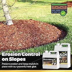 Concentrate Stone Adhesive, Makes 166oz Strong