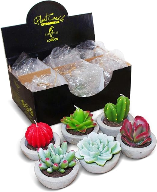 Amazon Com Darksteve Decorative Plant Citronella Candle