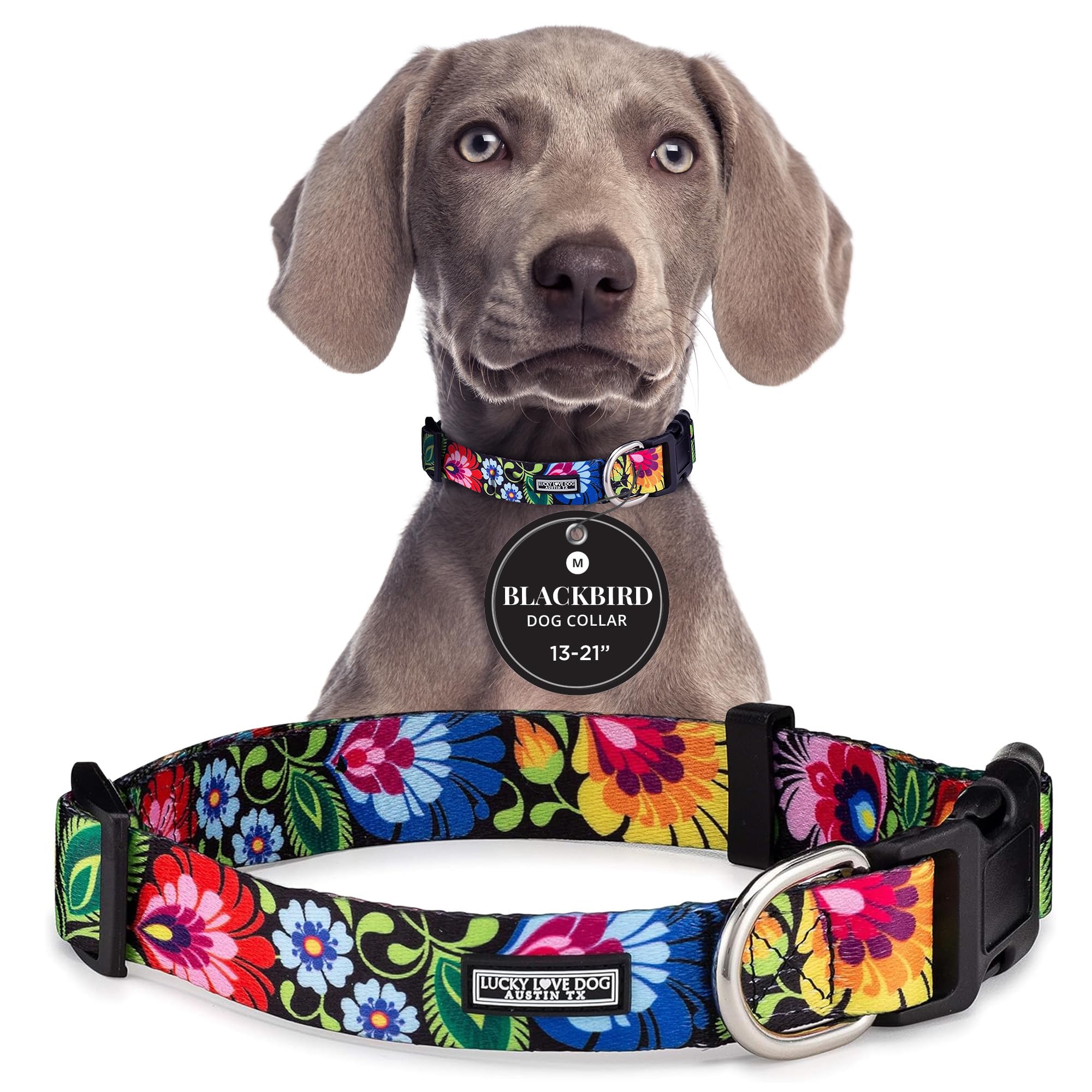 Lucky Love Dog - Adjustable Dog Collar with Easy Click Buckle for Medium, Durable, & Comfortable for Male & Female Dogs, Pet Collar for Puppies & Adult Dogs - Blackbird, Medium โ image 1