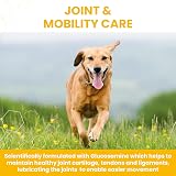 Vetzyme Flexible Joint Supplements for Dogs 30 Tablets Hip Joint Care view 3