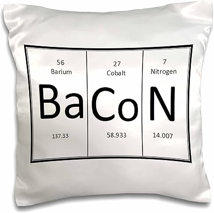 Amazon Com 3drose Pc 193517 1 Bacon Pillow Case 16 X 16 Arts