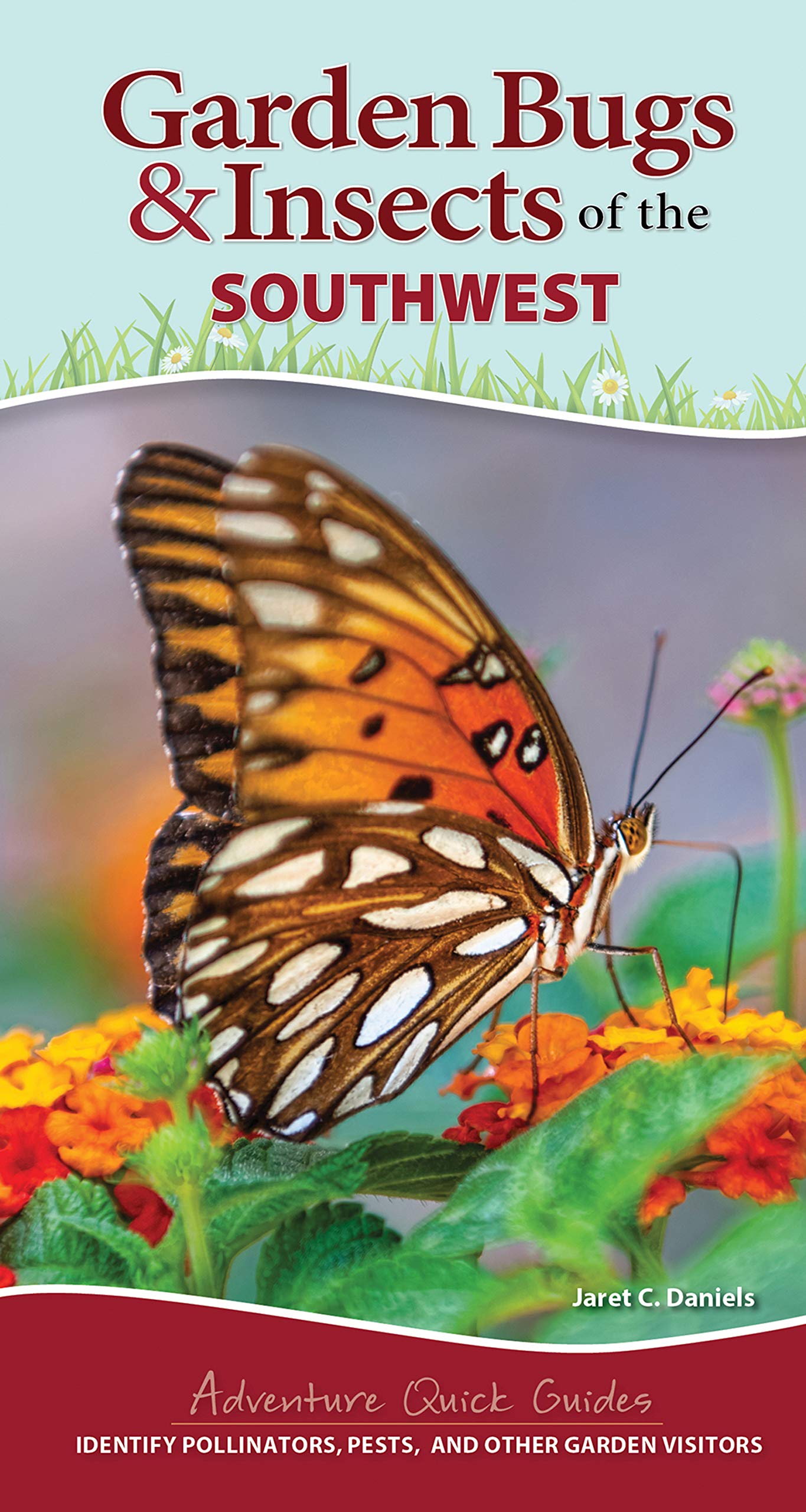 Garden Bugs Insects Of The Southwest Identify Pollinators Pests And Other Garden Visitors Adventure Quick Guides Daniels Jaret C Amazon Com Books