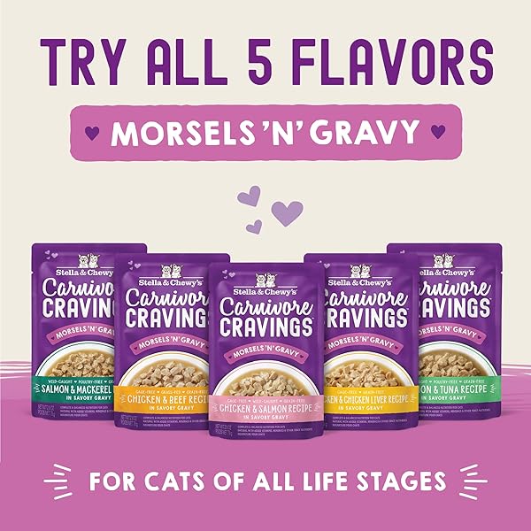 STELLA & CHEWY’S CARNIVORE CRAVINGS WET CAT FOOD POUCHES – PREMIUM SALMON & MACKEREL RECIPE – GRAIN-FREE MORSELS & GRAVY – PERFECT FOR PICKY EATERS – COMPLETE MEAL OR TOPPER – 2.8OZ, 12-PACK