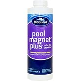 BioGuard Pool Magnet Plus Metal Stain Preventer, 1 Quart, Single Pack | Concentrated Formula, Works Quickly &amp; Easy to Apply Effective Pool Maintenance