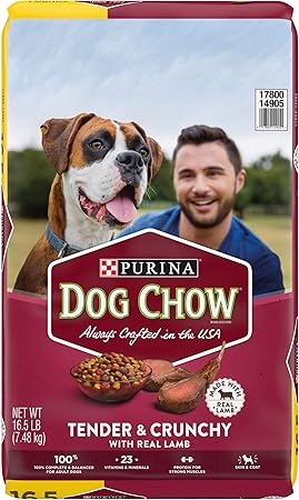 amazon purina dog food