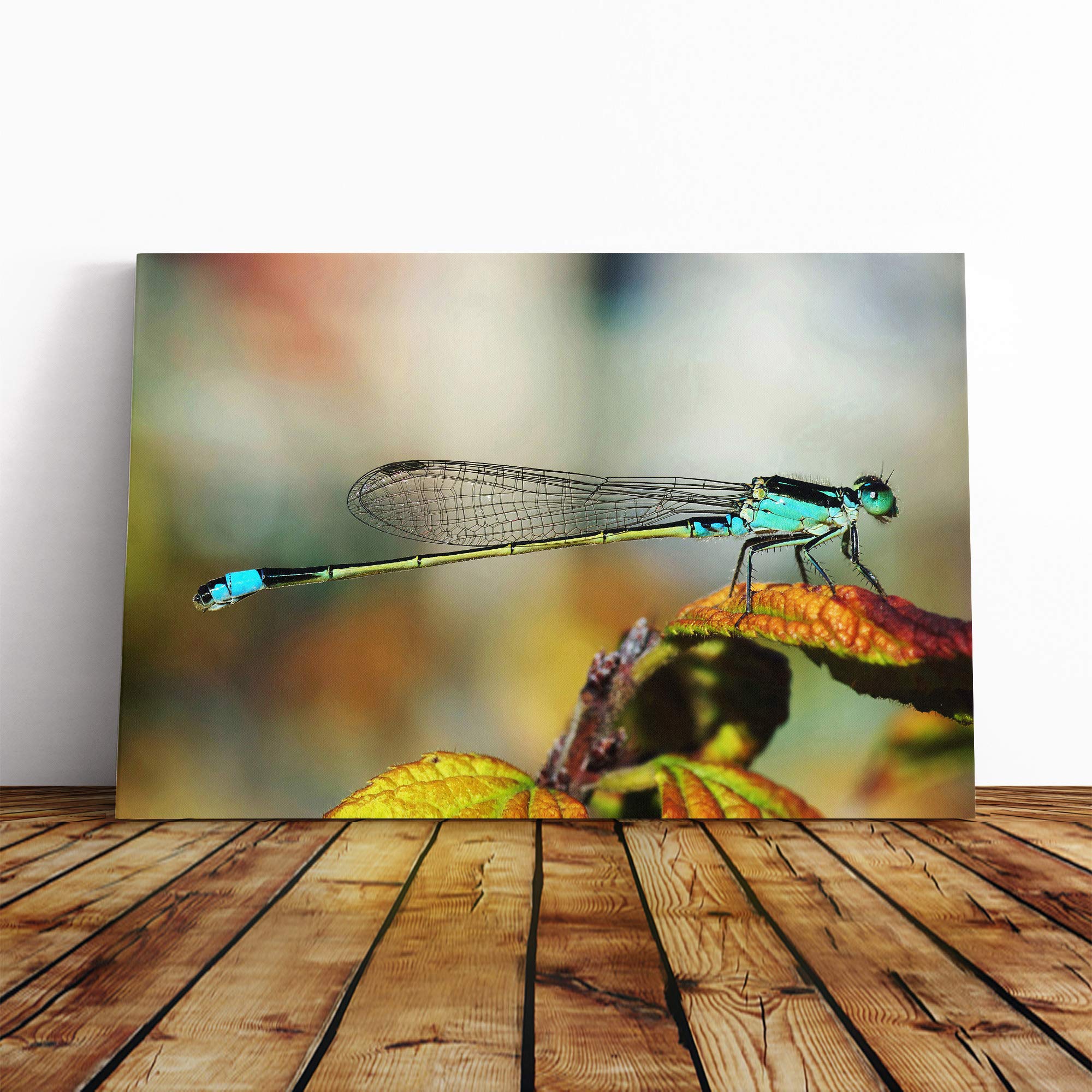 Dragonfly Insect (6) Canvas Print | Gallery Wrapped 30mm Frame Wall Art | 20x14 inches | Ready to Hang | Modern Animals Picture | Living Room Bedroom Lounge Office