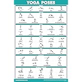 Palace Learning QuickFit Yoga Position Exercise Poster - Yoga Asana Poses Chart - Laminated, 18" x 27"