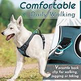 Eagloo Dog Harness Large No Pull Front Back Clips Reflective Dark Green view 4
