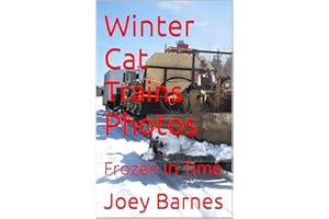 Winter Cat Trains Photos: Frozen in Time (King of Obsolete's Pictorial Book 2)