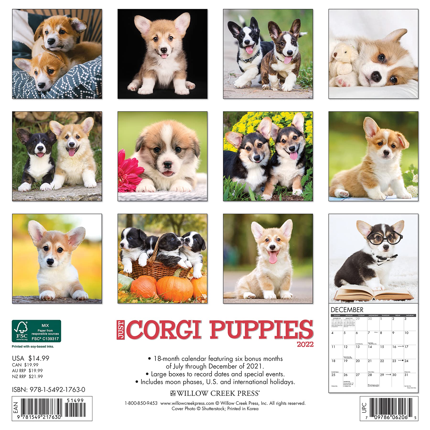 Corgi Calendar 2022 Just Corgi Puppies 2022 Wall Calendar (Dog Breed): Willow Creek Press:  9781549217630: Amazon.com: Books