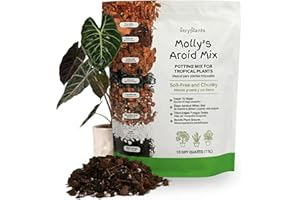 Molly's Aroid Mix - Premium Soilless Potting Mix for Houseplants - Fast Draining Soak Up & Chunky vs. Potting Soil for Indoor