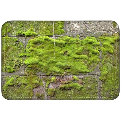 Amazon Com Moss Wall Green Rock Texture Custom Floor Mats