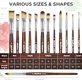 Nicpro 12Pcs Artist Paint Brush Set Premium Taklon Wood Handle view 5