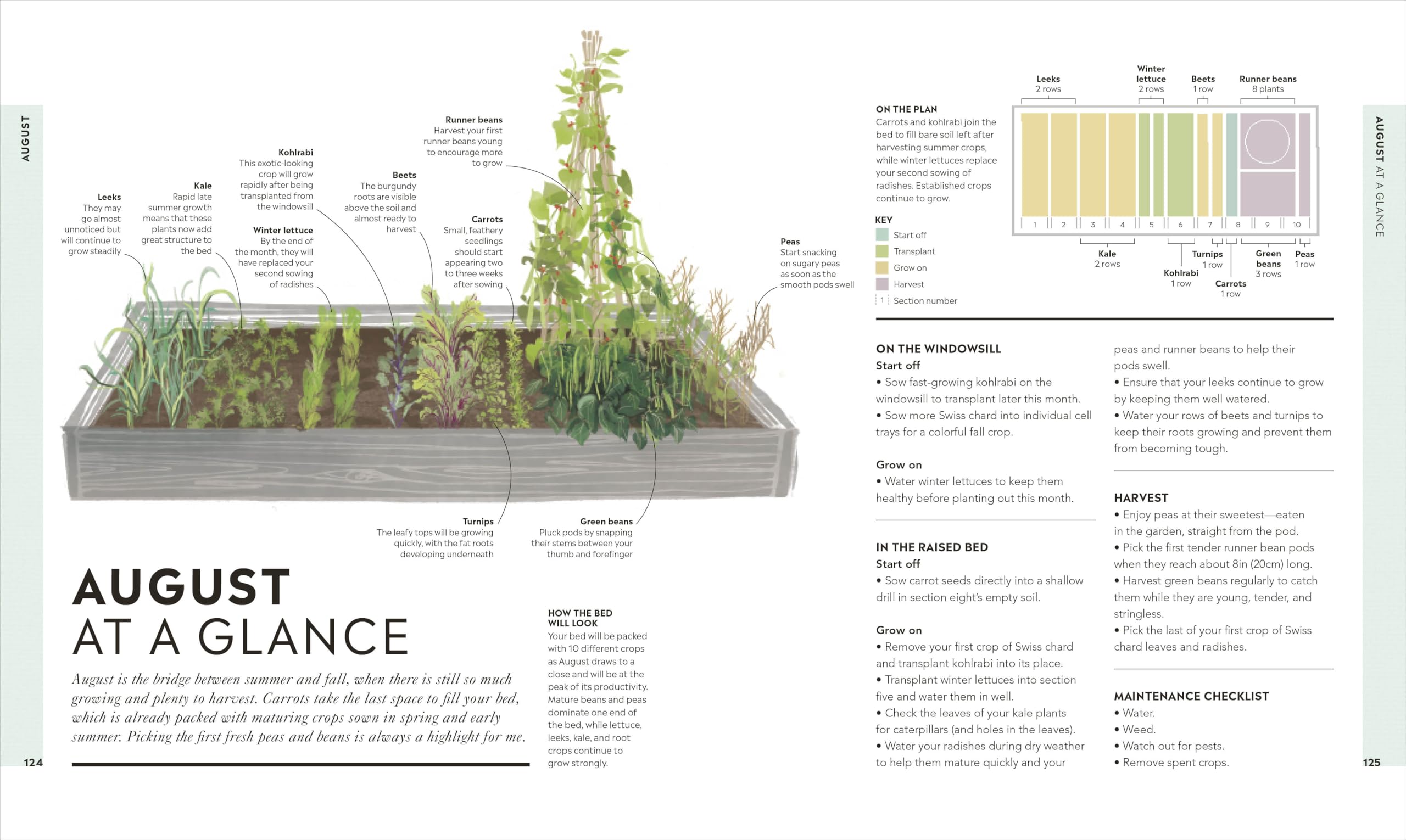 Veg in One Bed New Edition: How to Grow an Abundance of Food in One Raised Bed, Month by Month