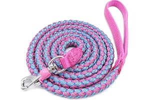 Mycicy Reflective Dog Leash, 2ft 3ft 4ft 6ft 10ft Braided Nylon Rope Heavy Duty Dog Training Leash for Large Medium Small Dogs Walking Lead (Pink 4ft)
