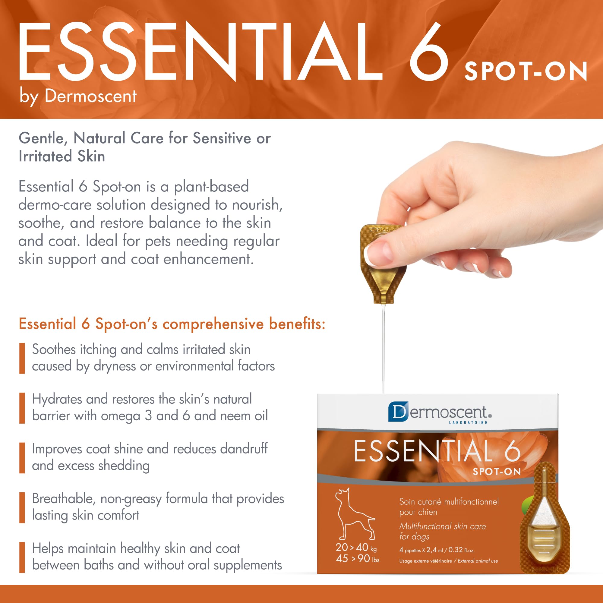 View 2
