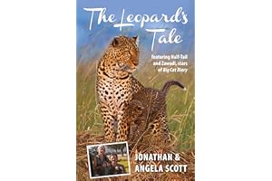Leopard's Tale: Featuring Half-Tail And Zawadi, Stars Of Big Cat Diary (Bradt Travel Narratives)