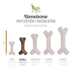 Benebone Puppy Maplestick Dog Chew Toy, Made in