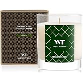 WEALD TRIBE Scented Candles Balsam Fir Scent Soy Wax Blend | 7.06 oz Long Lasting Soy Wax Blend Jay Candles For Home Air Freshener - Hand Poured Gift Candles For Women and Men