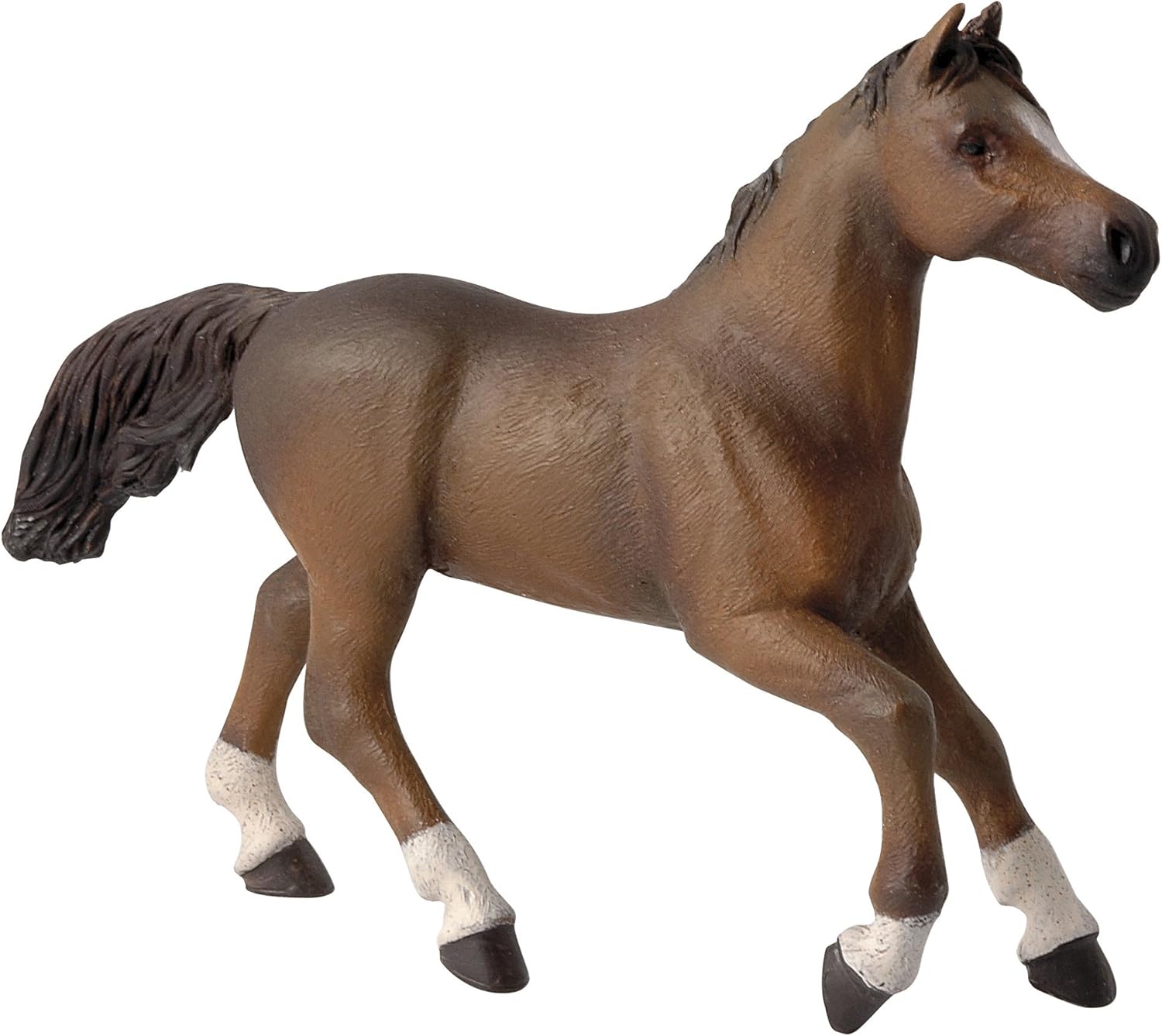 Papo Anglo-Arab mare, Multicolor