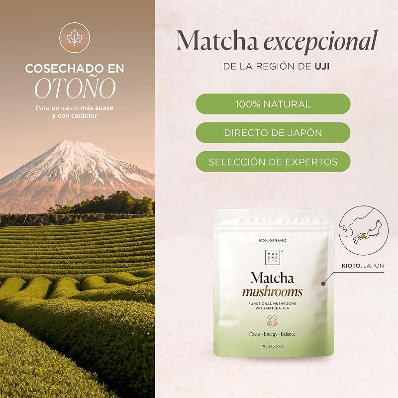 Cogumelos Matcha 100 g – Chá Matcha Cerimonial com 6 Cogumelos Funcionais (Juba de Leão, Reishi, Chaga, Cordyceps, Shiitake, Maitake) – Equilíbrio Energético de Foco – Origem Japonesa