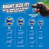 Chuckit Ultra Squeaker Ball 2 Pack Pet Toy Beep Natural Rubber view 4