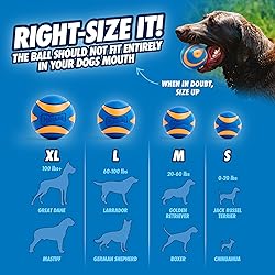 Chuckit! Ultra Squeaker Balls for Dogs, Floating