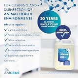 BYOTROL ANIGENE Surface Disinfectant Cleaner 5 L Dill Scent UK Made view 6