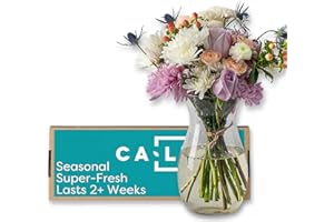 Callia Flowers - Soft Pastel Fresh Flower Bouquet (Grand Size) - Hand-Tied Fresh Cut with Vase, Fresh Flowers Delivery for Bi