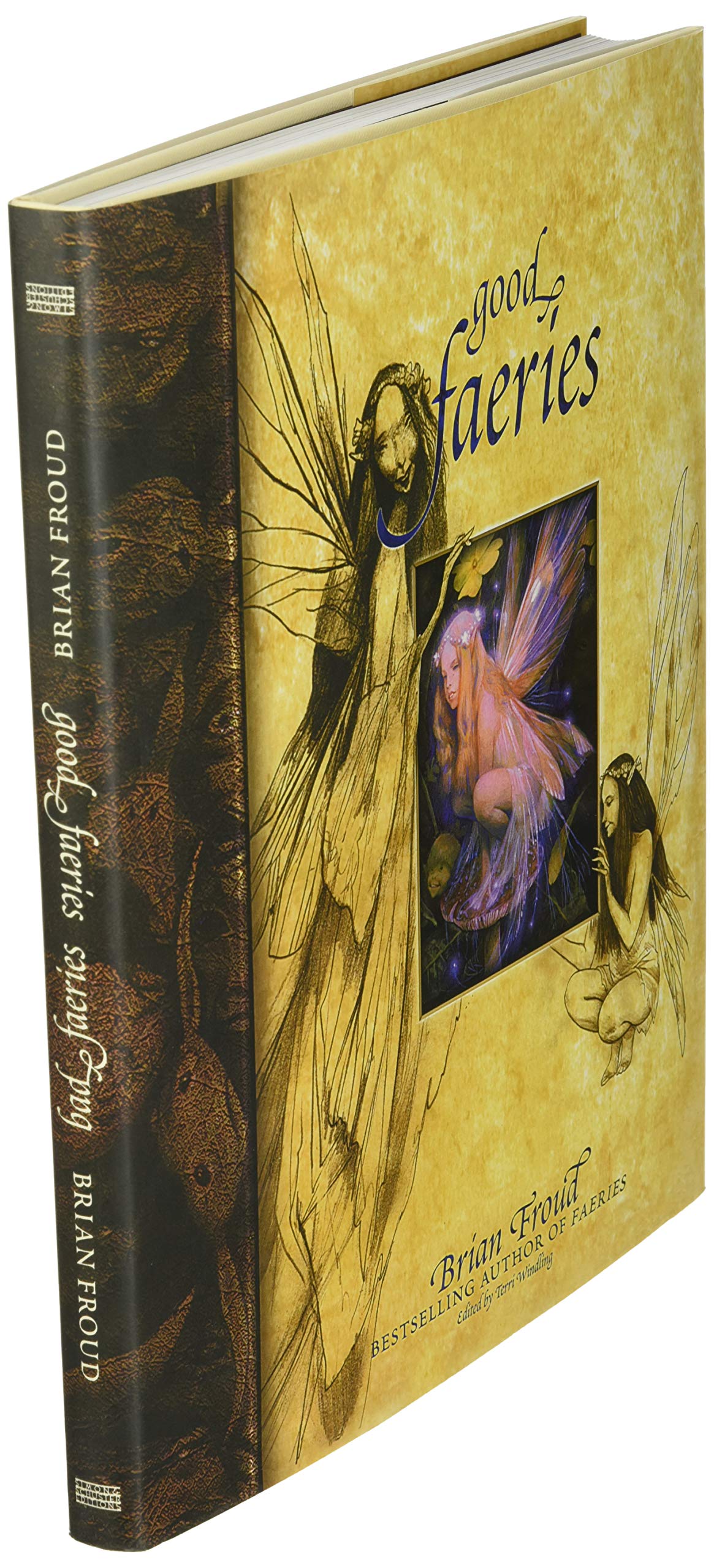 Good Faeries Bad Faeries Brian Froud Terri Windling 9780684847818 Amazon Com Books