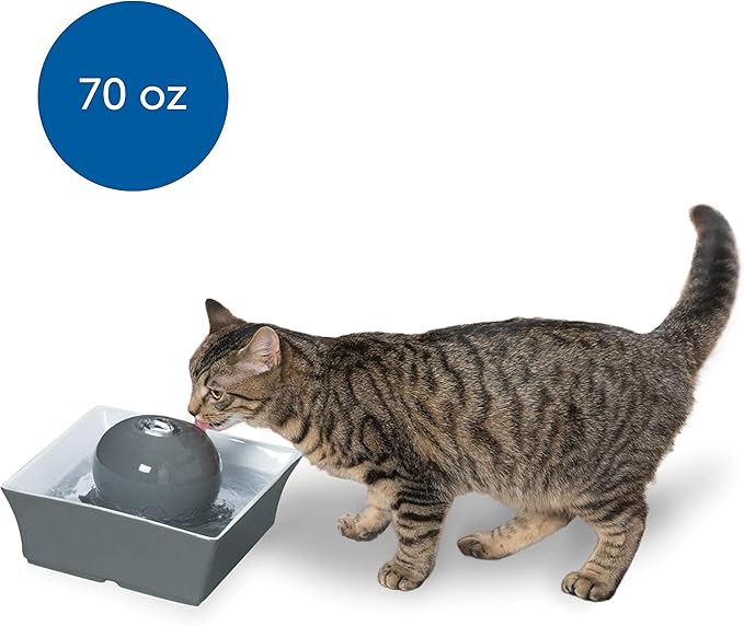 PetSafe Drinkwell Seascape Ceramic Pet Fountain, Filtered Water for