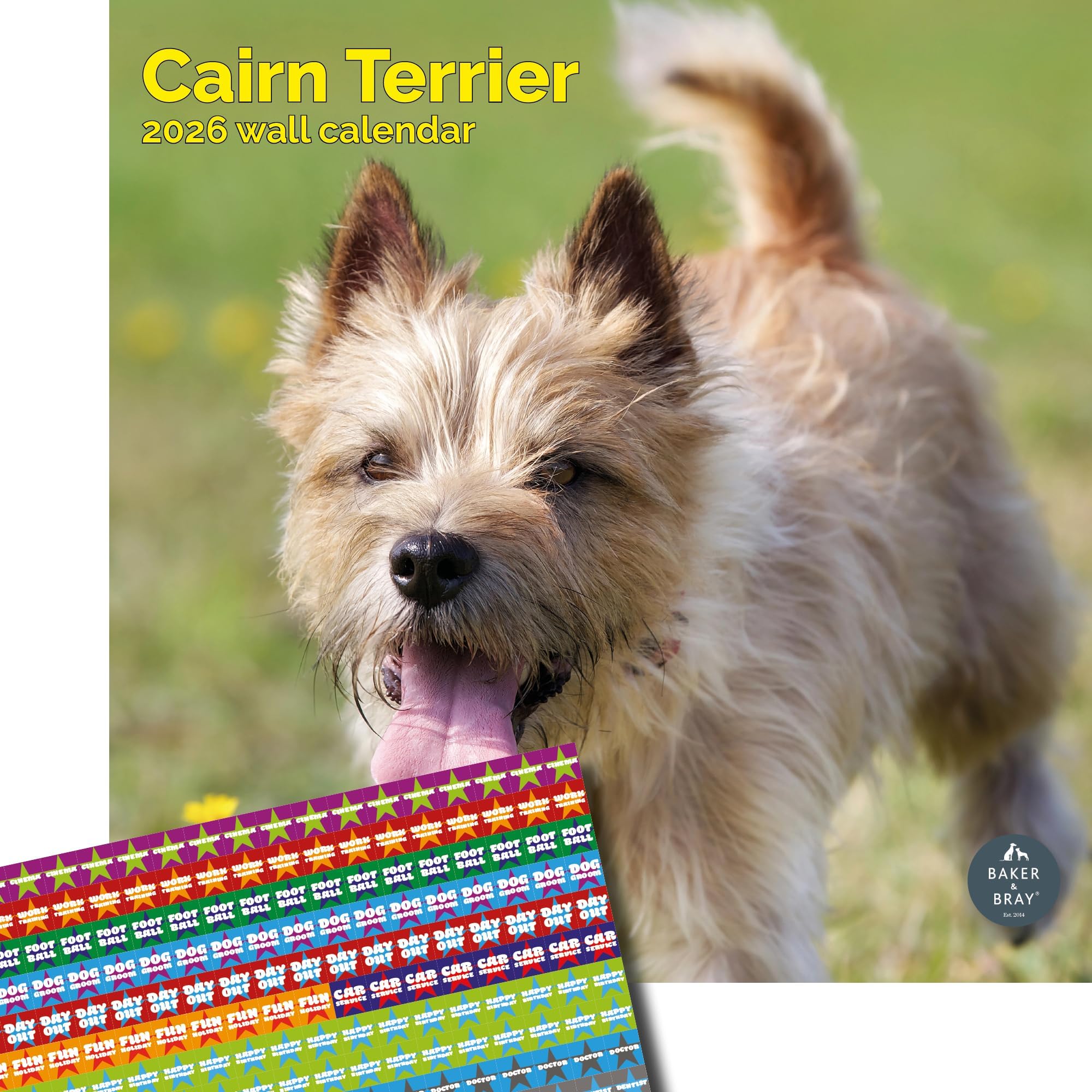 Baker and Bray Cairn Terrier Calendar 2026, Large Square Wall Calendar With Organisational Stickers, 16 Month, Cairn Terrier Gift Dog Calendar.