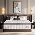 Queen Size Mattress 14 Inch - Premium Hybrid Mattress In a Box for Back & Lumbar Support, 366 Night Trial, Individual Pocket Spring Bed for Fiberglass-Free & Motion Isolation, CertiPUR-US Certified