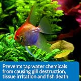 AQUARIAN Tap Water Safe 473ml Aquarium Water Conditioner White view 5
