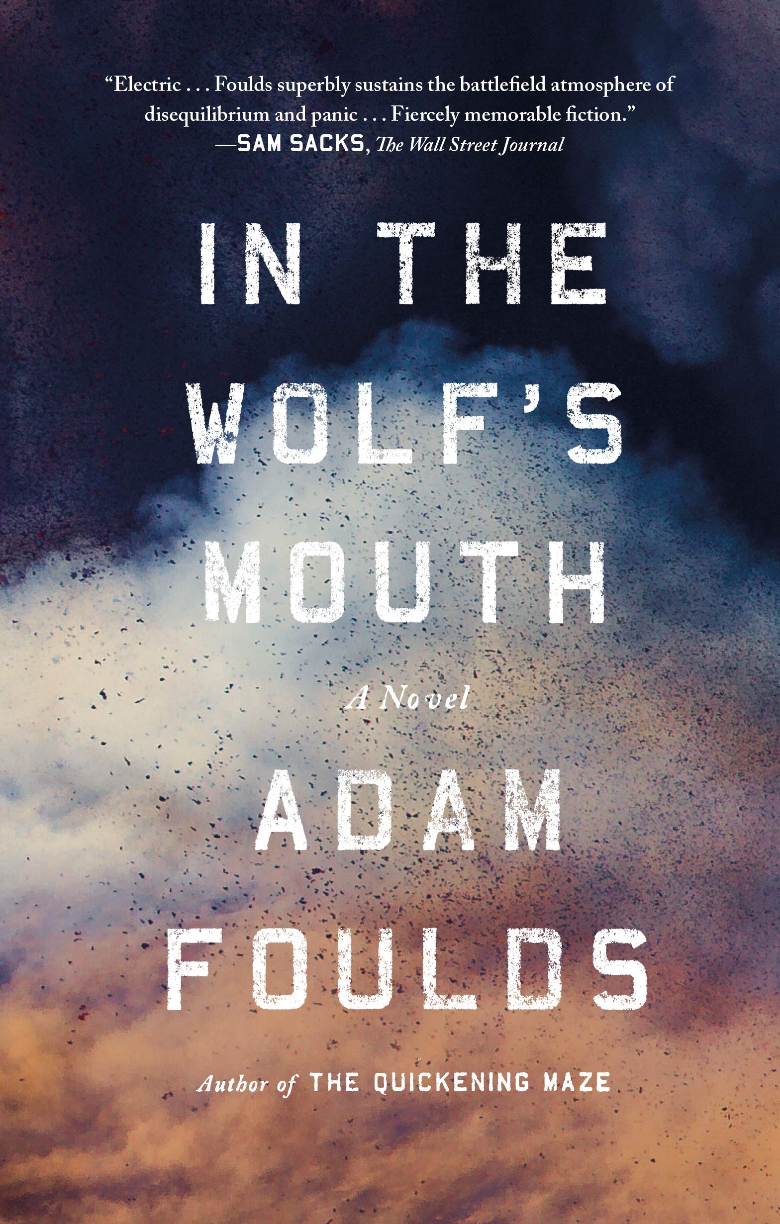 In The Wolf S Mouth A Novel Foulds Adam 9780374536114 Amazon Com Books In The Wolf S Mouth A Novel Foulds Adam 9780374536114 Amazon Com Books